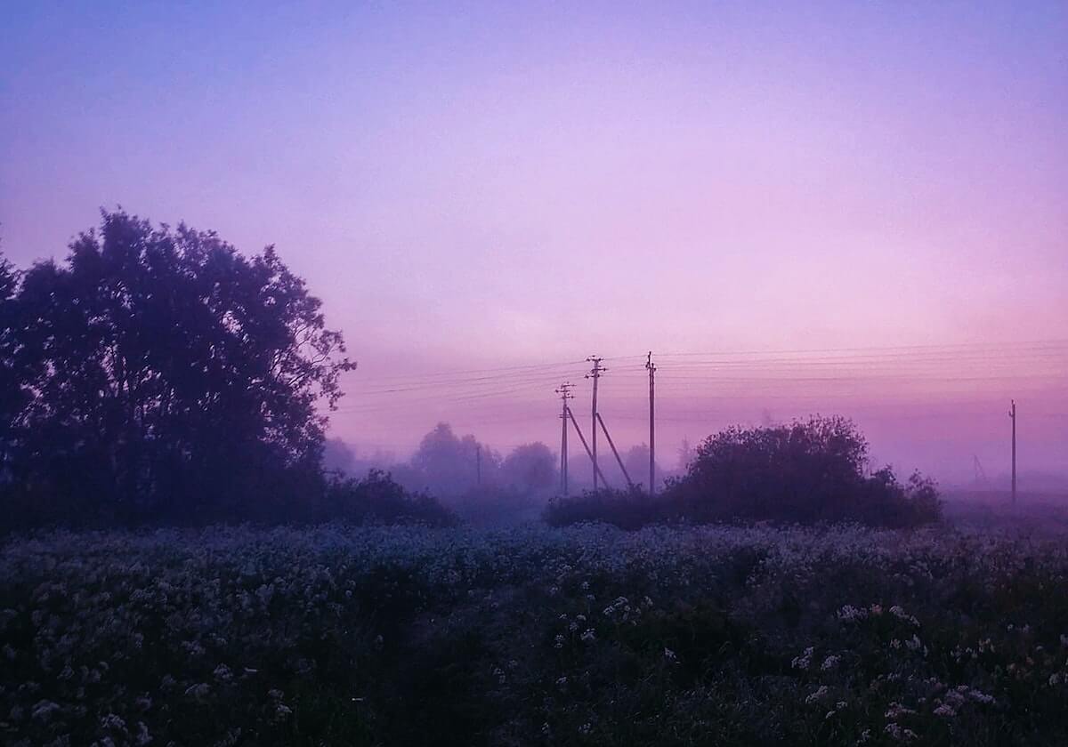 主持人在深夜遭遇内幕 刷爆评论，91网全网炸锅，详情曝光