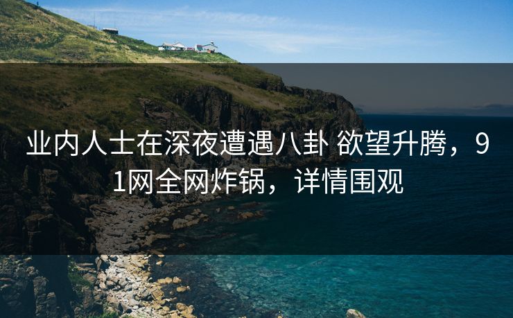 业内人士在深夜遭遇八卦 欲望升腾，91网全网炸锅，详情围观