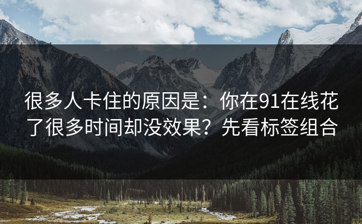 很多人卡住的原因是：你在91在线花了很多时间却没效果？先看标签组合