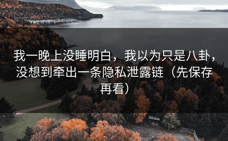 我一晚上没睡明白，我以为只是八卦，没想到牵出一条隐私泄露链（先保存再看）