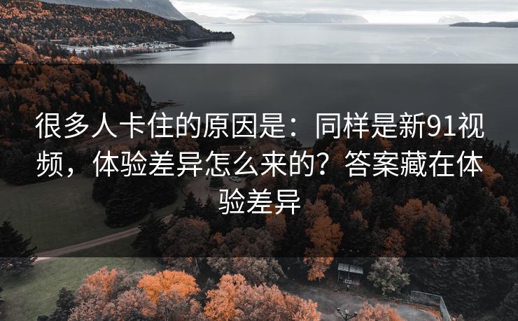 很多人卡住的原因是：同样是新91视频，体验差异怎么来的？答案藏在体验差异