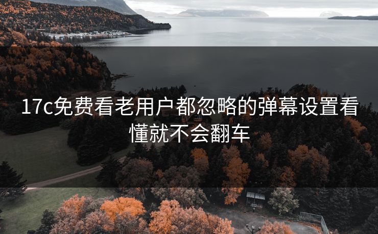 17c免费看老用户都忽略的弹幕设置看懂就不会翻车